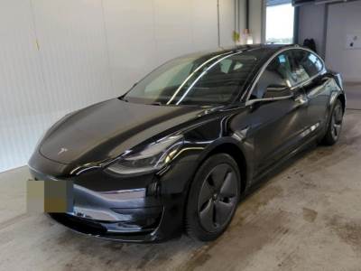 Carro usado Tesla Model 3 Standard Range Plus RWD Elétrica