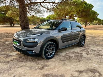 Carro usado Citroën C4 Cactus 1.6 BlueHDi Shine Diesel