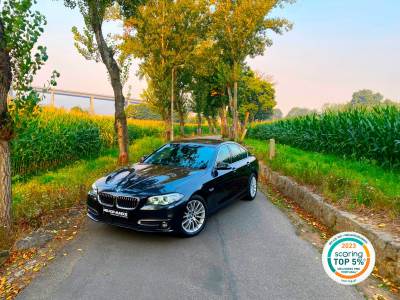 Carro usado BMW Série 5 d Line Luxury Auto Diesel