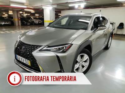 Carro usado Lexus UX 250h Executive + 184cv Híbrido (Gasolina)