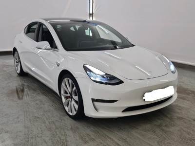 Carro usado Tesla Model 3 Performance Dual Motor AWD Elétrica