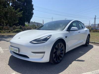 Carro usado Tesla Model 3 Performance Dual Motor AWD Elétrica